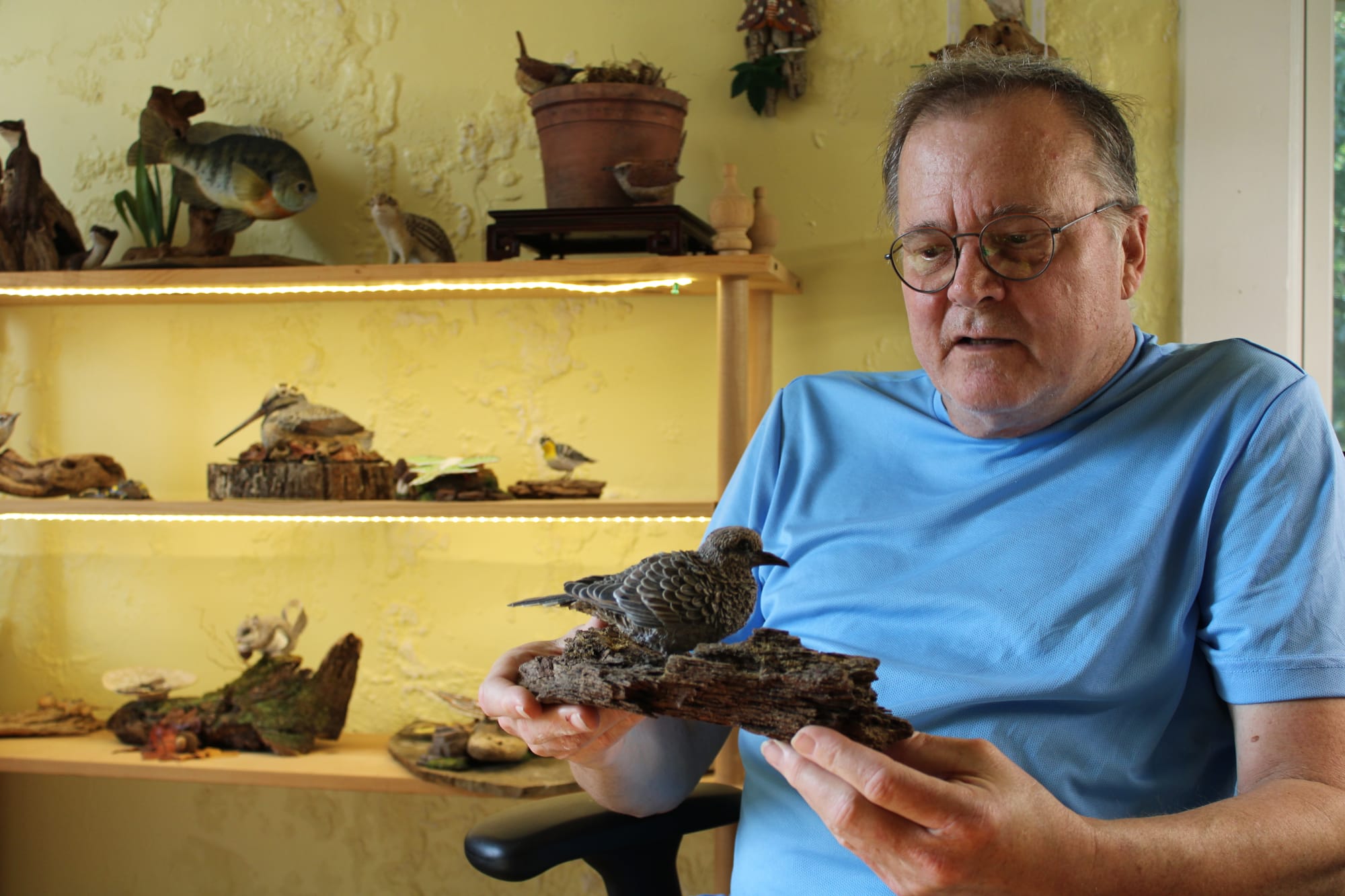 Mike Wright holds a model of a bird sitting on a log