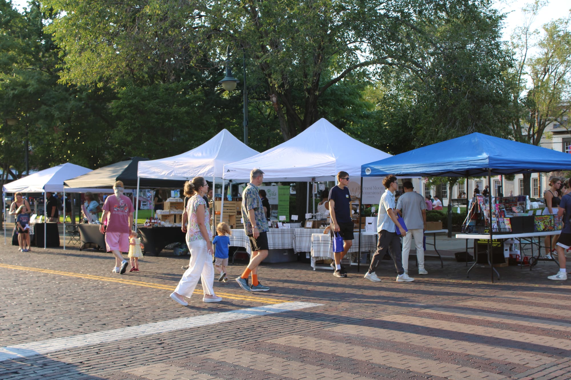 Booths set up on the street for people to walk by and visit