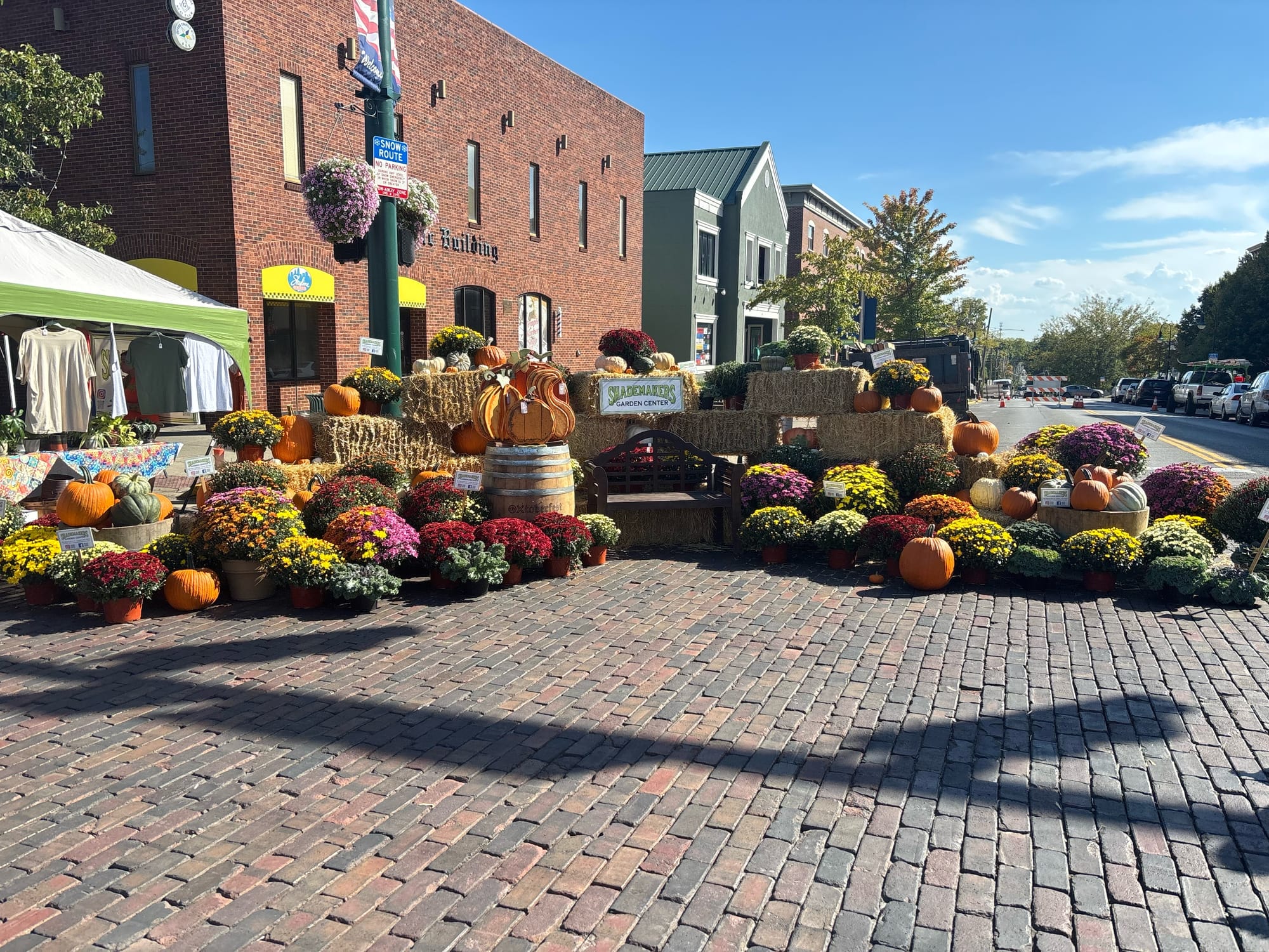 A display filled with pumpkins, mums and hay