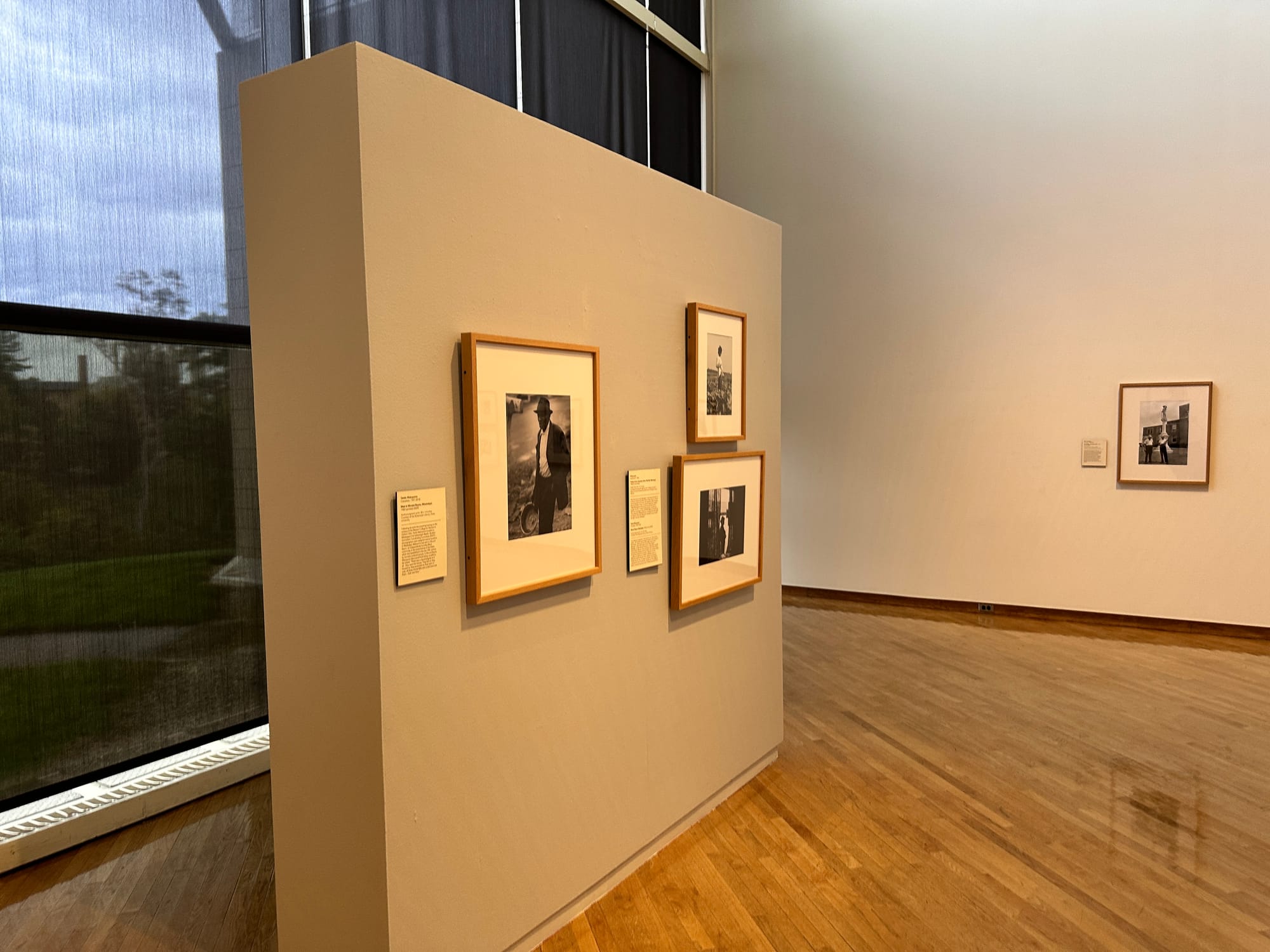 The gallery is arranged in near categorical order