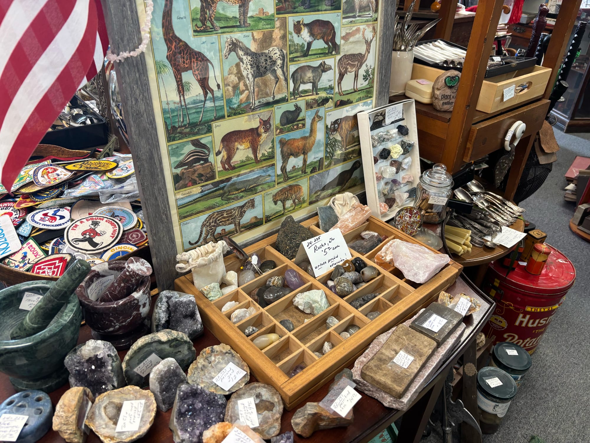 A display of different colorful rocks in front of print of different animals