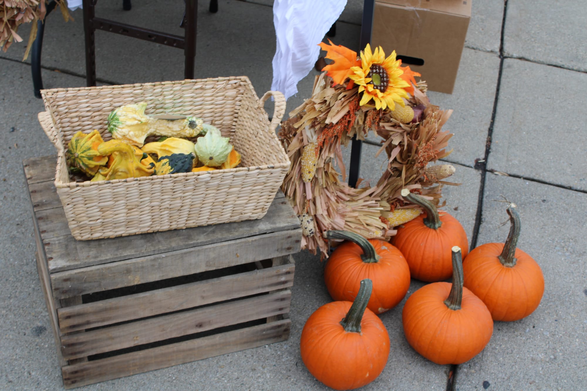 A display of pumpkins and gourds at the event.