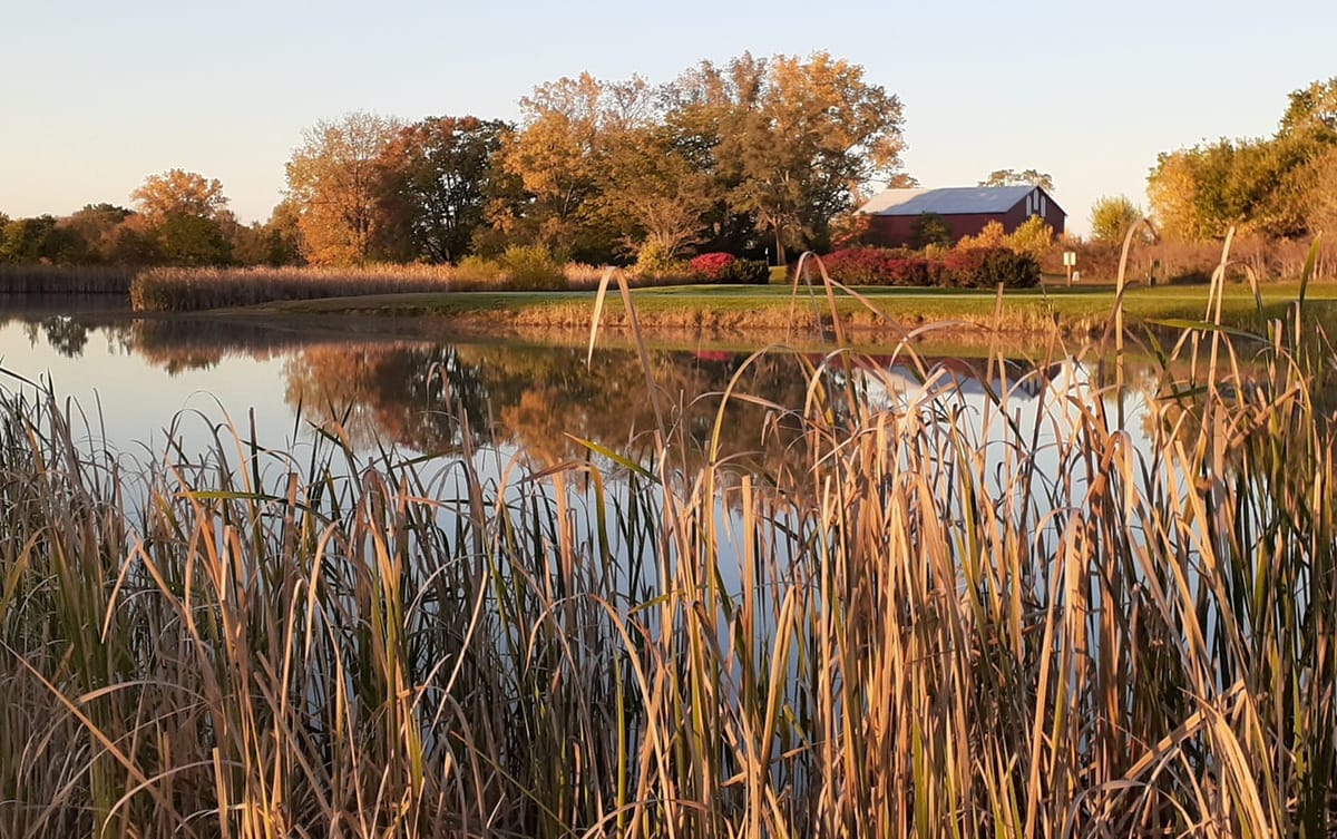 PHOTOS: Celebrating Fall