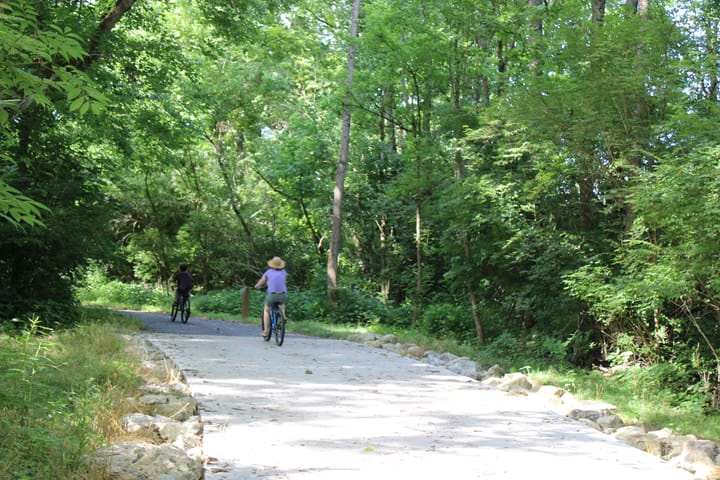 Two people riding bikes along tree lined trails. 