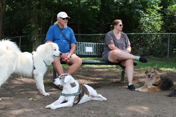 Oxford planning new dog park and dog training center