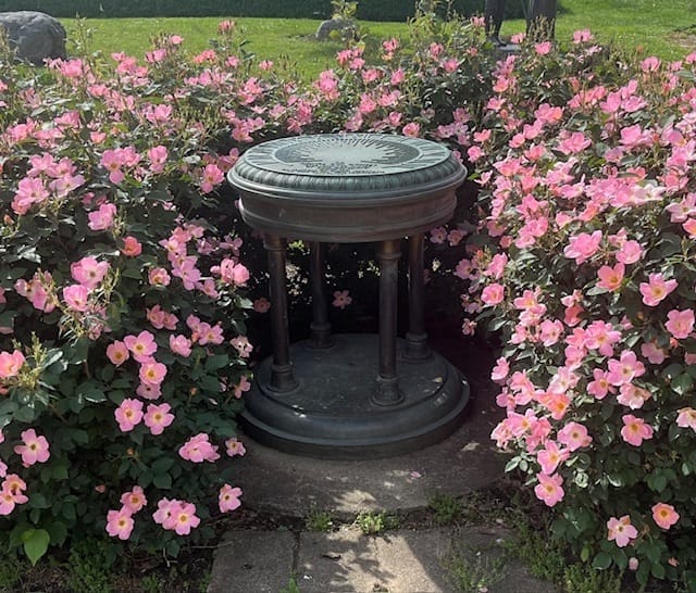 A bronze sundial surrounded by bright pink flowers in the sun