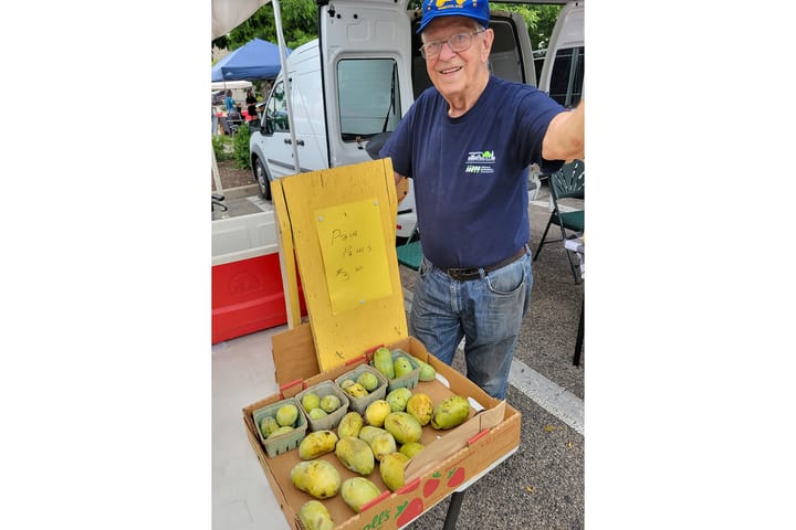 Bob Rauen stands behind a cardboard box with several green pawpaws in it