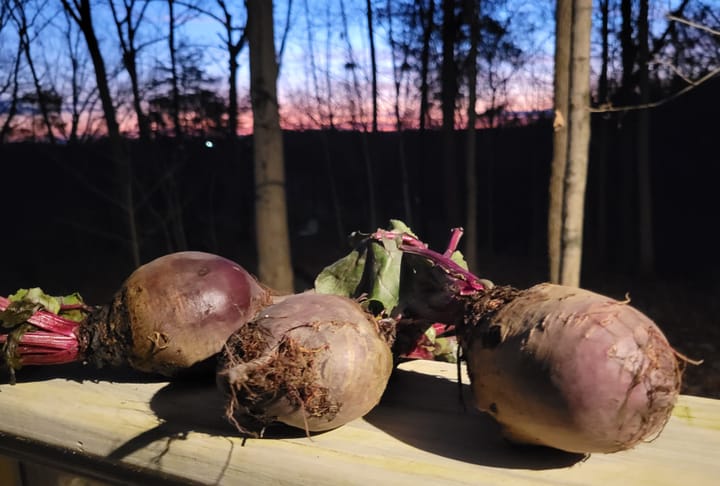 Several beets sitting on a deck railing at dusk