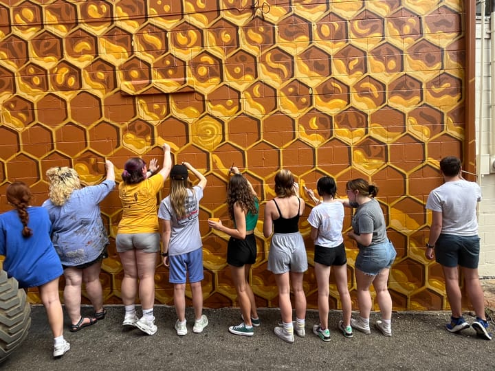 A line of volunteers helps paint a honeycomb pattern